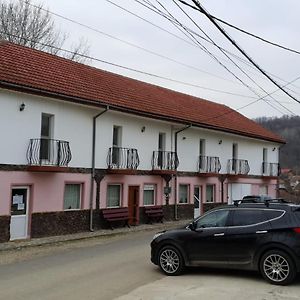 Pensiunea Lucica Hotell Sacelu Exterior photo