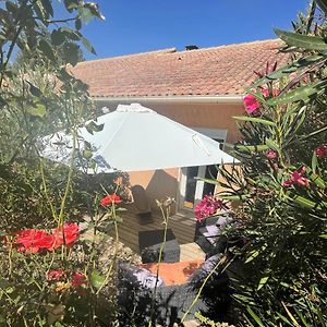 Le Clos Des Milans Bed and Breakfast Rapale Exterior photo