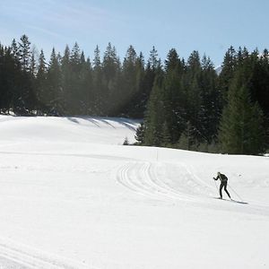 Chalet In Hohentauern In The Ski Area Exterior photo