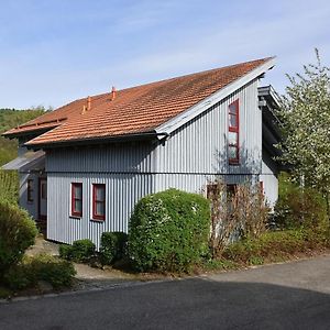 Ferienhaus Nr 7A3, Feriendorf Hagbuegerl, Bayr Wald Villa Waldmünchen Exterior photo