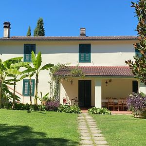 Casa Del Pino Bed and Breakfast Borgo a Buggiano Exterior photo