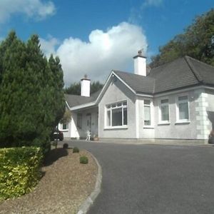 Launard House Bed and Breakfast Kilkenny Exterior photo