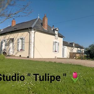 Studio "Tulipe" Dans Le Berry Lägenhet Les Bordes Exterior photo