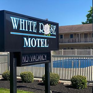 White Rose Motel - Hershey Exterior photo