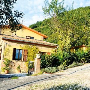 Villa Mischianti Gubbio Exterior photo