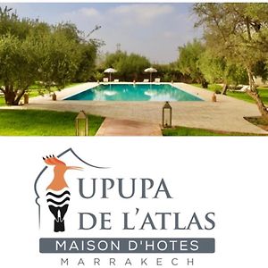 Upupa De L'Atlas Hotell Marrakesh Exterior photo