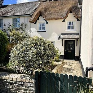 Beautiful 1 Bed Thatched Cottage Dolton Exterior photo