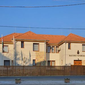 Bacchus Vendeghaz Hotell Erdőbénye Exterior photo