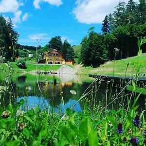 Zelena Oaza Bed and Breakfast Zgornja Kungota Exterior photo