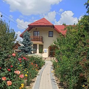 Agropensiunea Florina-Maria Hotell Branistea  Exterior photo