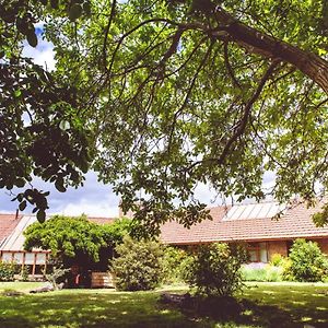 Posada Los Mimbres Hotell Gaiman Exterior photo