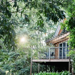 Shambala Eco Retreat Villa Mount Tamborine Exterior photo