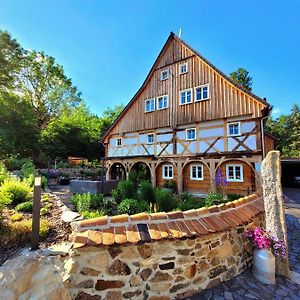 Pferdehof Am Burgsberg, Ferienzimmer, Monteurzimmer Lägenhet Seifhennersdorf Exterior photo