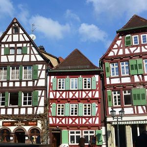 Gästehaus am Marktbrunnen Aparthotel Bretten Exterior photo