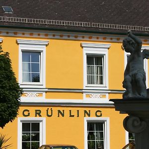 Gasthof Gruenling Hotell Wallsee Exterior photo