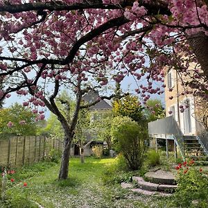 Au Jardin Bed and Breakfast Zuchwil Exterior photo