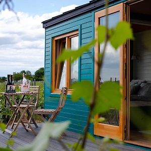 Tiny House In The Vineyard By Gramofon Wine Hotell Iordachianu Exterior photo