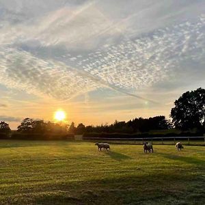 Sunset View A Quiet And Romantic Rural Retreat For 2 Adults Just Outside Ingleton Lägenhet Ingleton  Exterior photo