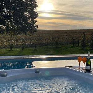 Best View, Pool And Spa On The Champagne Vineyard Lägenhet Saint-Thierry Exterior photo