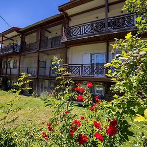 Ξενοδοχειο Παπαναγιωτου Hotell Neraïdochóri Exterior photo