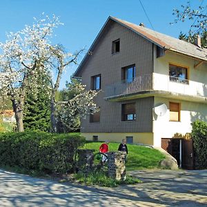 Haus Hollerbusch Lägenhet Neunburg vorm Wald Exterior photo