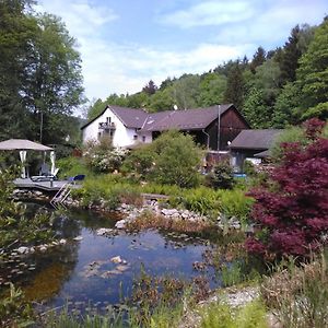 Urlaubspension Die Muehle Hotell Schöllnach Exterior photo