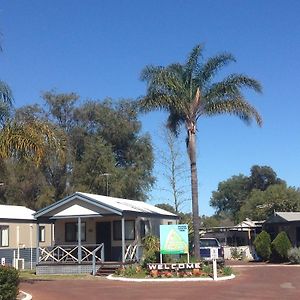 Pinjarra Caravan Park&Cabins Exterior photo