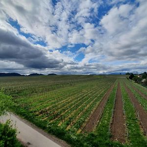 Weinseelig14 Lägenhet Landau in der Pfalz Exterior photo