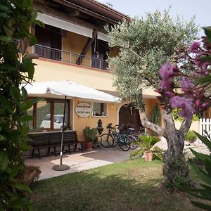 Country House Casamiriam Hotell Mirano Exterior photo