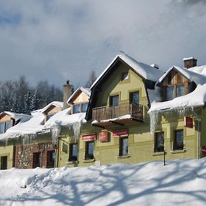 Penzion Na Kovarne Hotell Branná Exterior photo