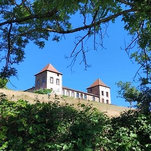 Chateau De Gorze Lägenhet Germolles-sur-Grosne Exterior photo