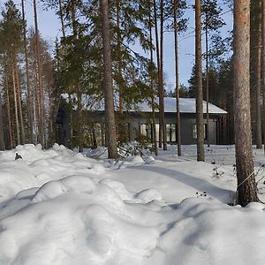 Norvalisma Villa Rovaniemi Exterior photo