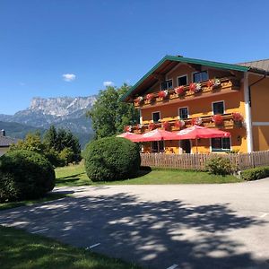 Pension David Hotell Puch bei Hallein Exterior photo