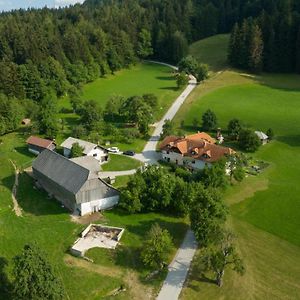 Eco Tourist Farm Ravnjak Villa Slovenj Gradec Exterior photo