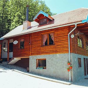 Etno Domacinstvo Milenkovic Villa Despotovac Exterior photo