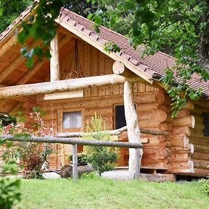 Hut At The Forest Villa Male Brusnice Exterior photo