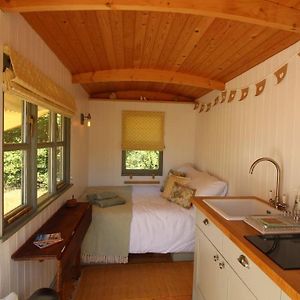 The Warren - Cosy Shepherds Hut In Beautiful Wild Meadow Lägenhet Halesworth Exterior photo