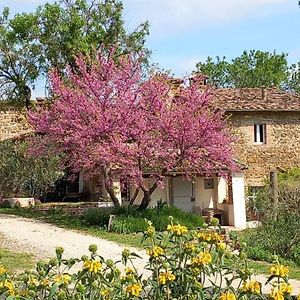 Agriturismo Timignano Lägenhet Monteguidi Exterior photo