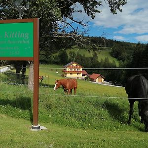 Urlaub Am Bauernhof Familie Kitting Villa Vorau Exterior photo