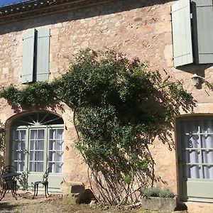 Domaine De La Durantie Duplex Vieux Chateau Villa Castelnau-de-Montmiral Exterior photo