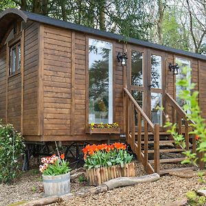 Sybs Farm Shepherds Hut Villa Fernhurst Exterior photo