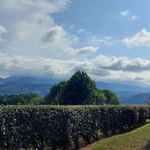 Monfaucon Vue Sur Les Pyrenees Lägenhet Pouzac Exterior photo