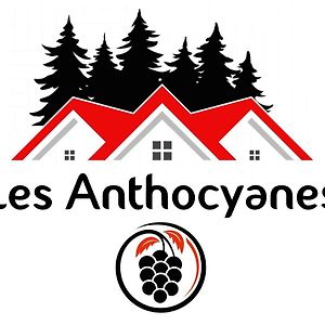 Les Anthocyanes Chambre Foret Hotell Champagny Exterior photo