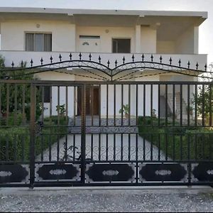 Green Villa Durrës Exterior photo