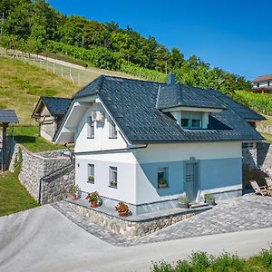 Vineyard Cottage Deer'S Hill - Happy Rentals Šmarješke Toplice Exterior photo