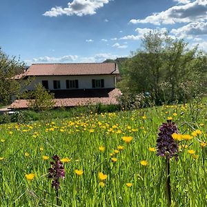 Butterflies Rest Bed and Breakfast Gubbio Exterior photo