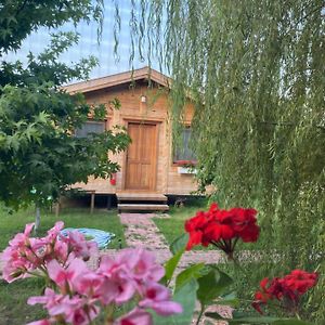 Inlice Uenzile Bungalow Inlice Kamp Bed and Breakfast Fethiye Exterior photo