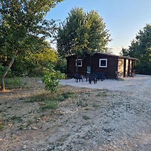 Pons Family Villa Martignargues Exterior photo