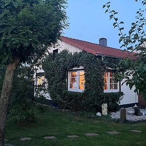 Idyllische Gaestehaus Im Gruenen Lägenhet Altenstädt Exterior photo