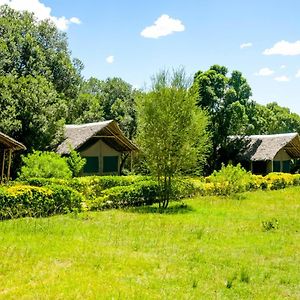 Giraffe Hills Mara Camp Hotell Maasai Mara Exterior photo